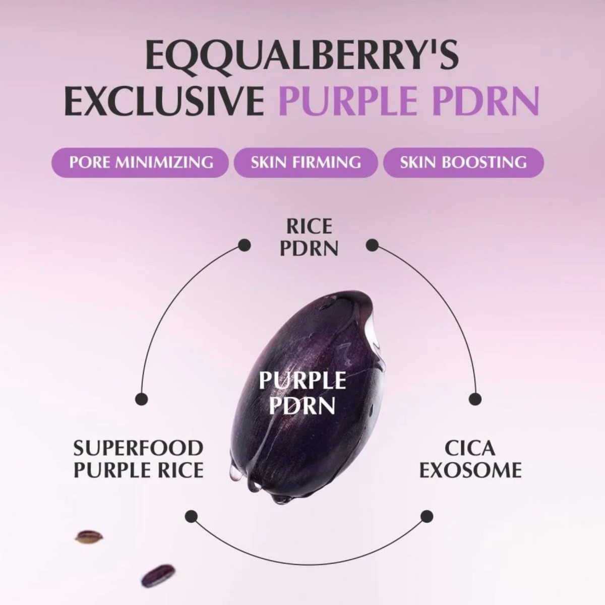 EQQUALBERRY – Purple PDRN Pore Minimizing Serum - 30ml