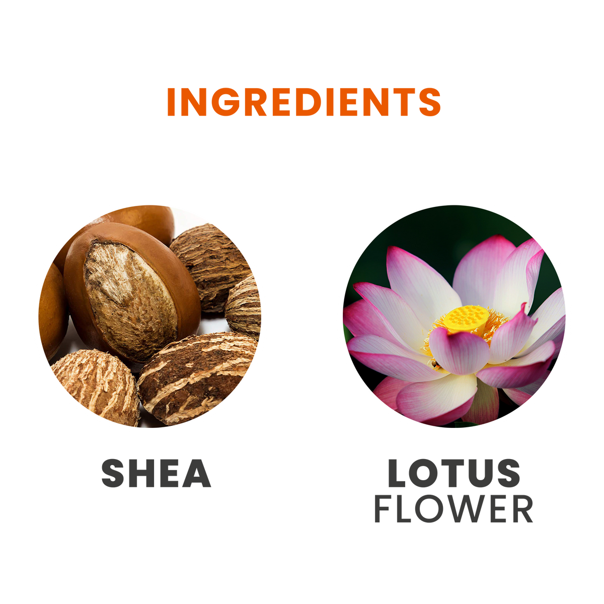 Tesori d'Oriente Lotus Flower Eau de Toilette