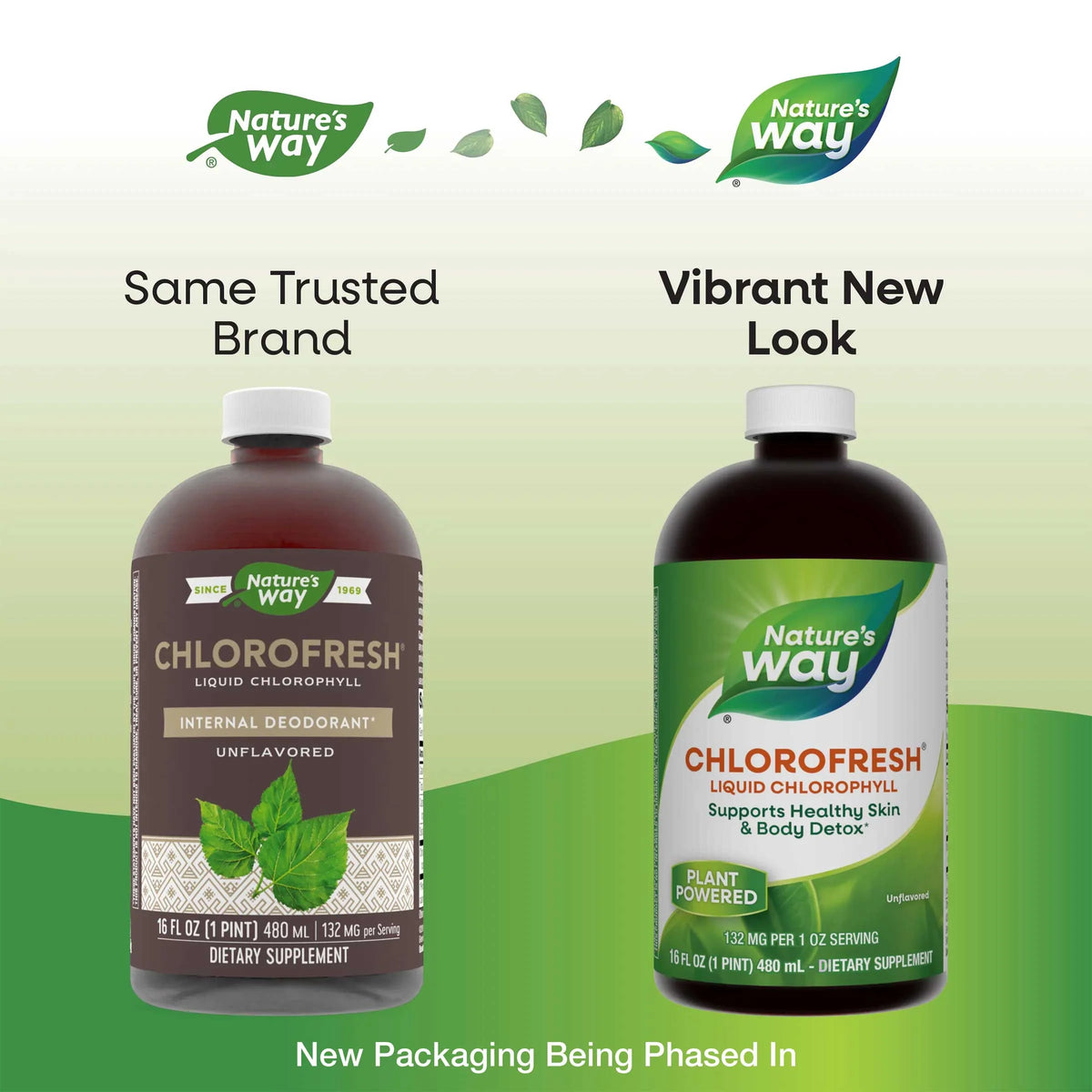 Nature's Way Chlorofresh Liquid Chlorophyll Internal Deodorant