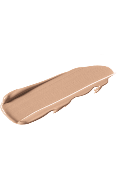TOPFACE Instyle Lasting Finish Concealer