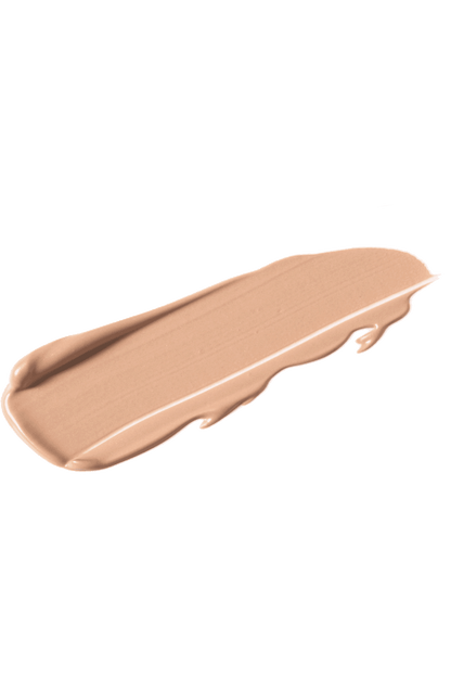 TOPFACE Instyle Lasting Finish Concealer