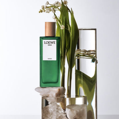 LOEWE Agua Miami eau de parfum 100 ml TESTEUR